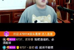 崇阳最新爆料事件视频播放,视频揭露惊人真相，事件引发社会关注