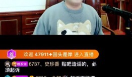 崇阳最新爆料事件视频播放,视频揭露惊人真相，事件引发社会关注