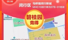 爆料最新项目,引领行业变革的颠覆性创新