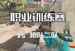 使命召唤职业比赛最新爆料,神秘战队崛起，巅峰对决即将上演！