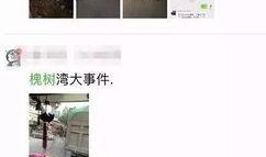 最新南阳爆料视频,最新事件真相曝光
